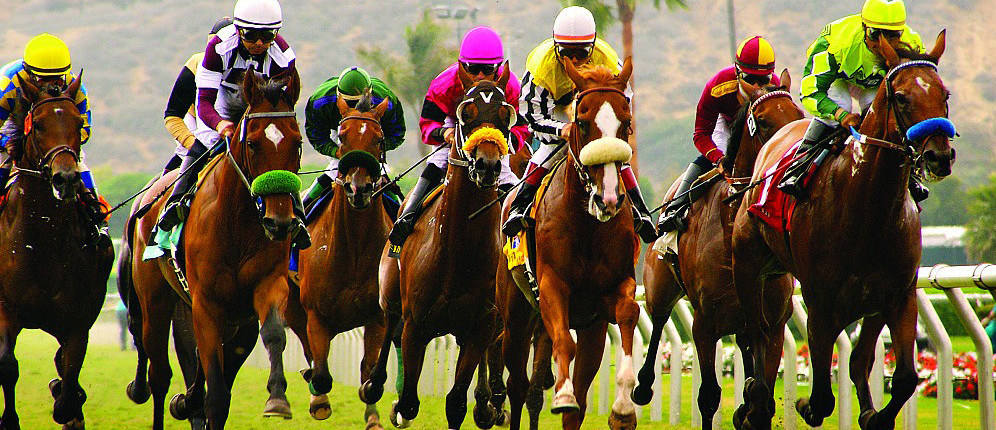 The Races