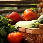 Fruit and Vegetables